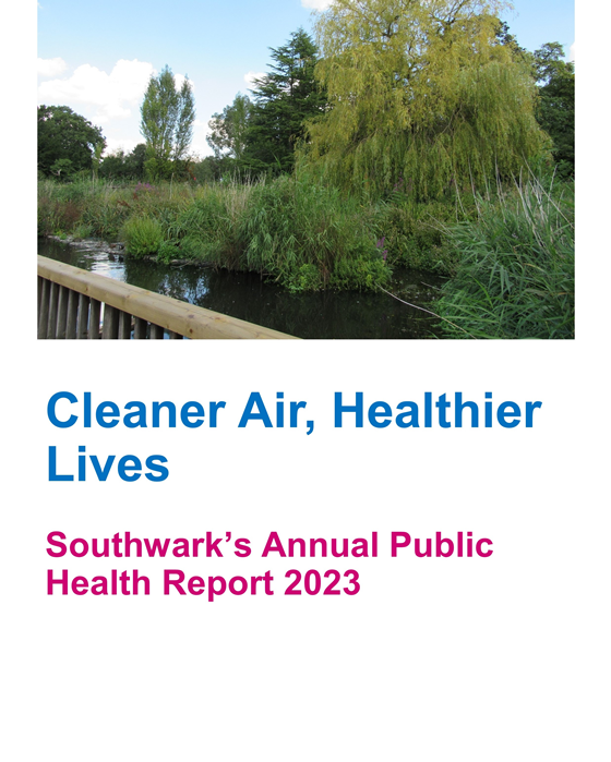 Annual Public Health Report