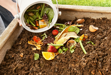 Someone emptying food waste into a compost