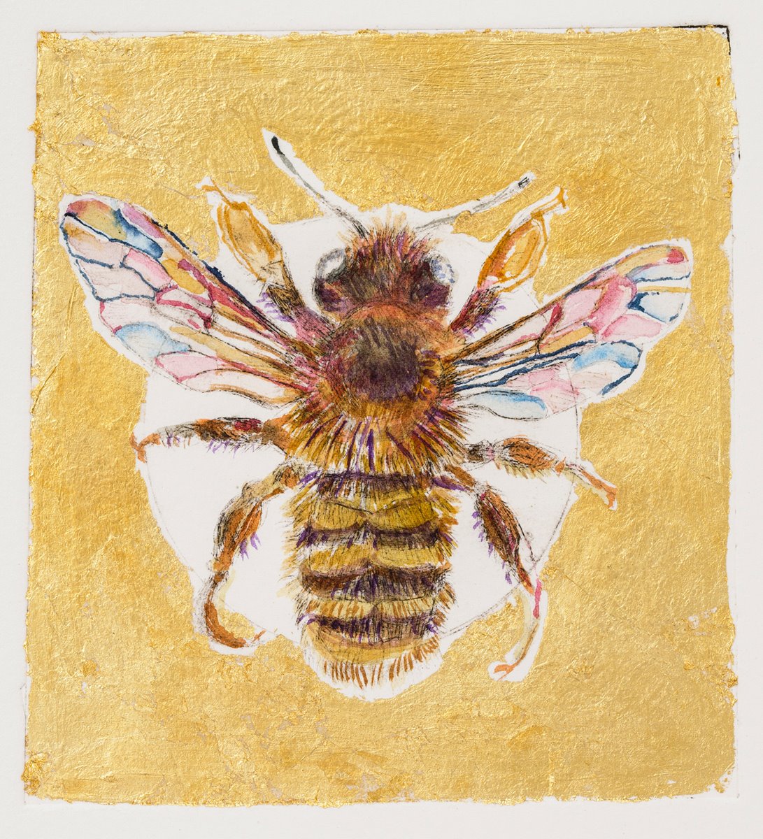 article thumb - Anna Alcock: Ghost of a Bee. Drypoint, watercolour and goldleaf. 