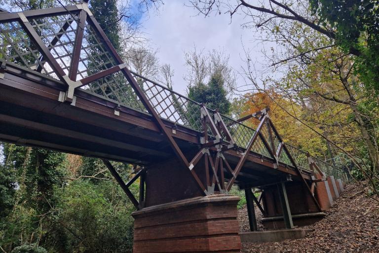 View of new Cox's Walk Bridge