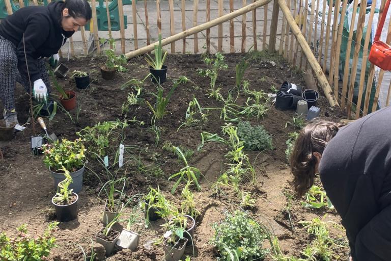 Biodiversity Fund