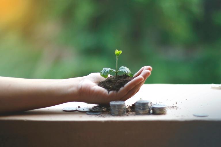 A persons hand is delicately holding a green shoot. The persons hand is above a pile of coins and these are on a table top