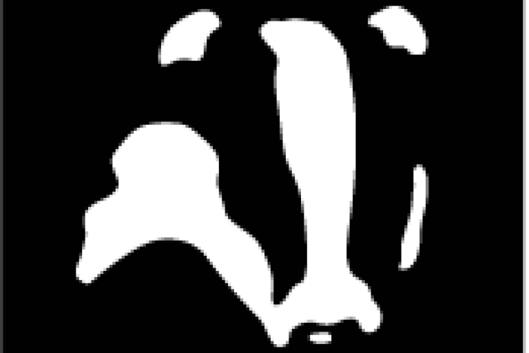 a logo which is an illustration of a badger