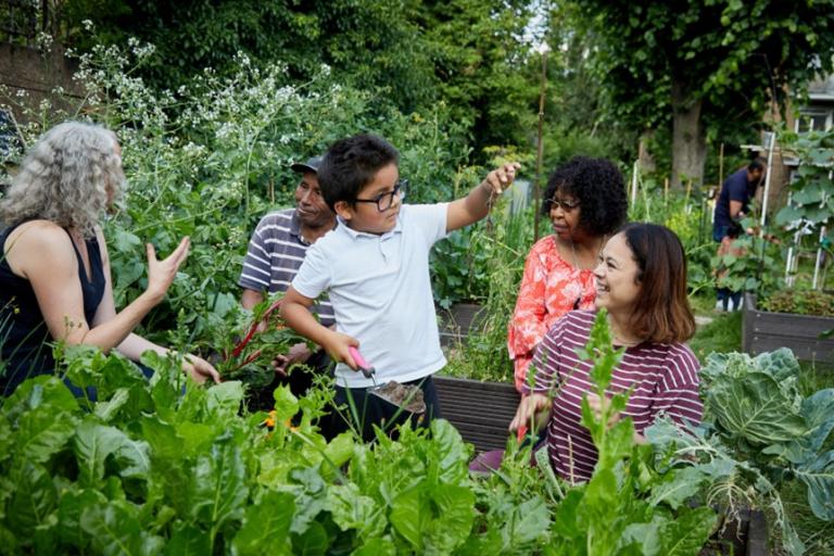 Southwark Community Gardens