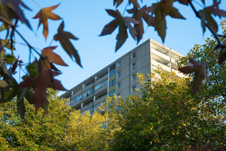 Photo of the top of the Aylesbury Estate building seen through the trees