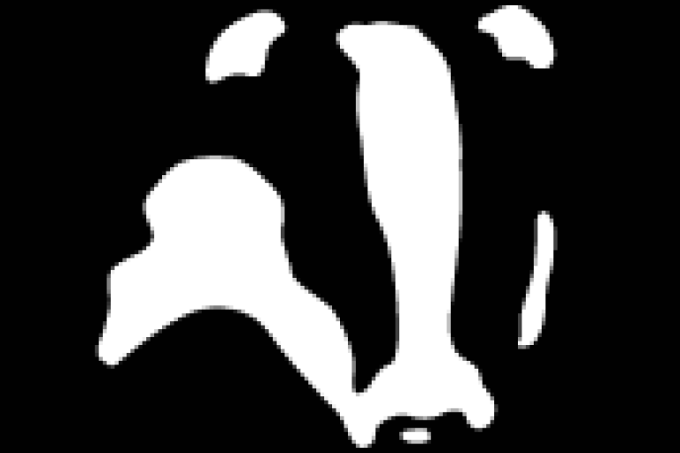 London Wildlife Trust logo