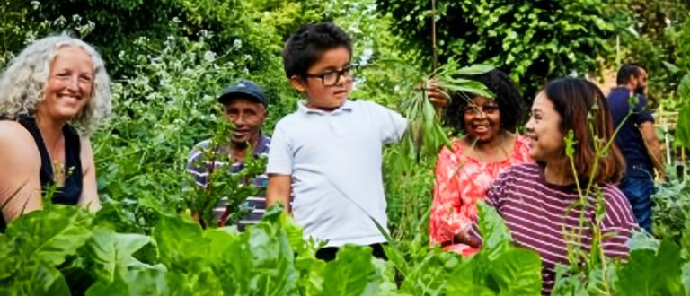 Community food project