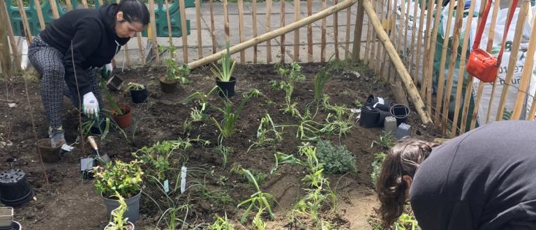 Biodiversity Fund