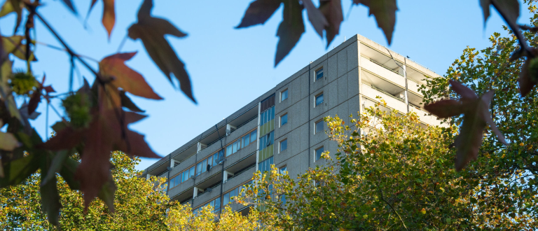 Photo of the top of the Aylesbury Estate building seen through the trees