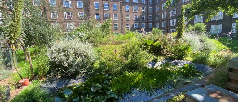Image of Rockingham Estate