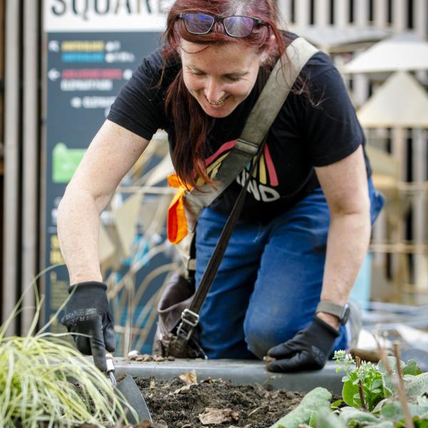 Community Planting project in Castle Square