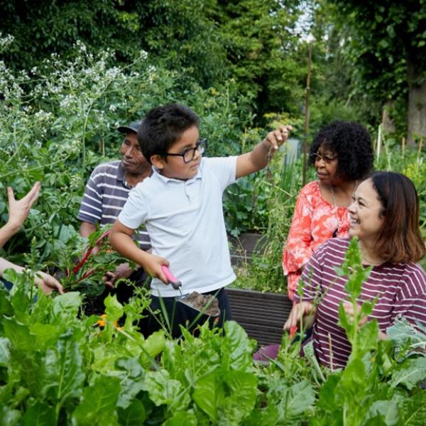 Southwark Community Gardens