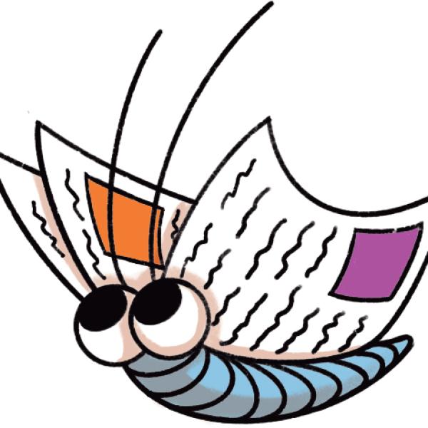 Butterfly book